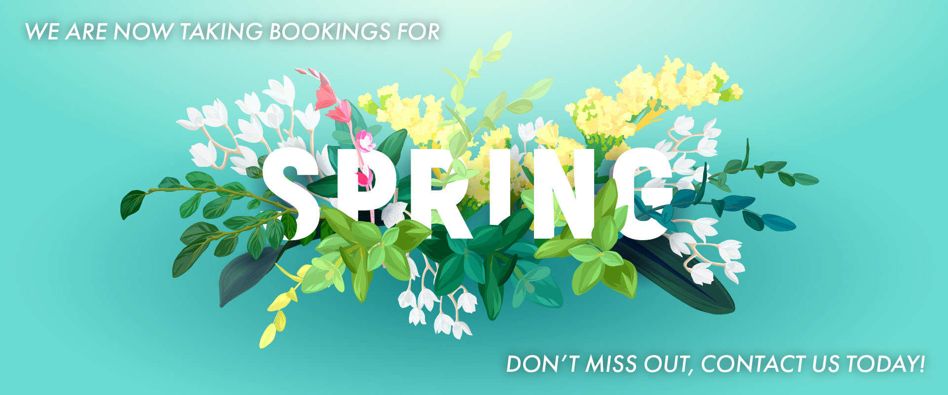 mdc-specialists-spring-banner-2